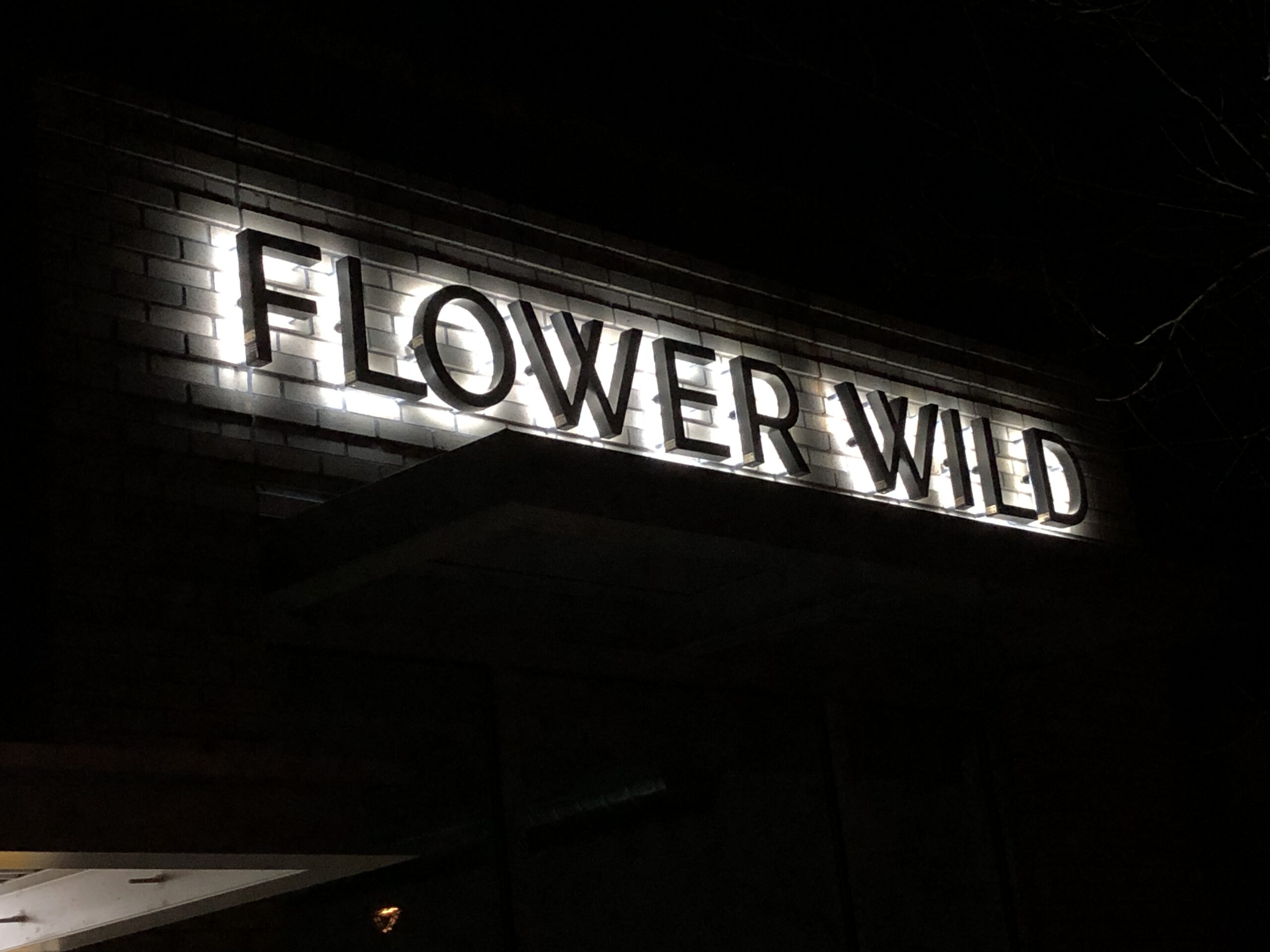 IMG_3587 Flower Wild Reverse Backlit Channel Letters